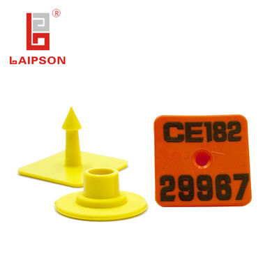 30mm Square ISO14001 Swine Ear Tags With Plastic Tip